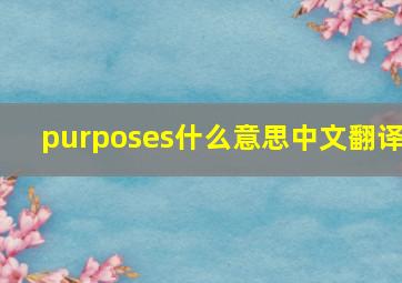 purposes什么意思中文翻译