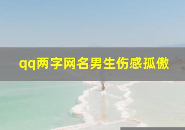 qq两字网名男生伤感孤傲