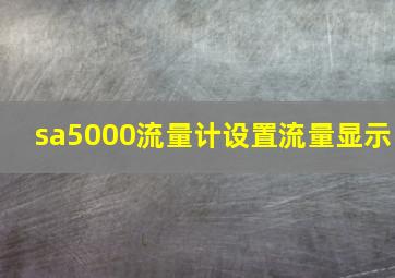 sa5000流量计设置流量显示