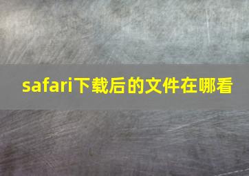 safari下载后的文件在哪看