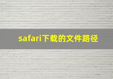 safari下载的文件路径