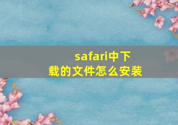 safari中下载的文件怎么安装