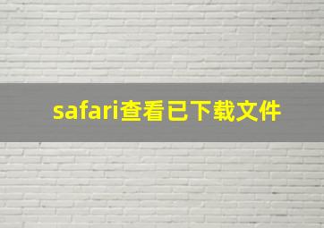 safari查看已下载文件