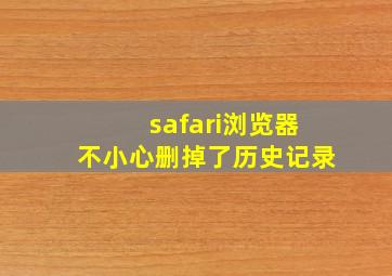 safari浏览器不小心删掉了历史记录