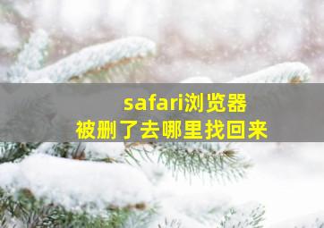 safari浏览器被删了去哪里找回来