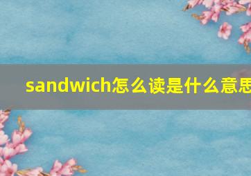 sandwich怎么读是什么意思