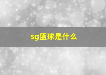 sg篮球是什么