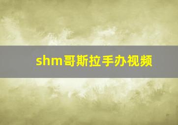 shm哥斯拉手办视频