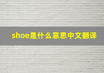 shoe是什么意思中文翻译