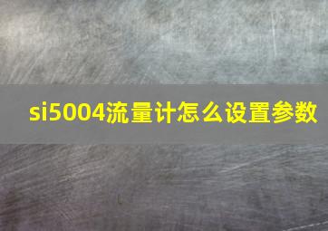 si5004流量计怎么设置参数