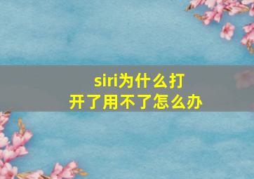 siri为什么打开了用不了怎么办