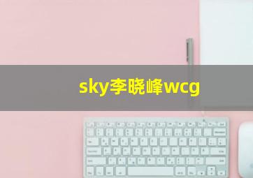 sky李晓峰wcg