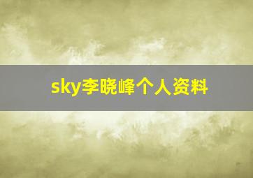 sky李晓峰个人资料