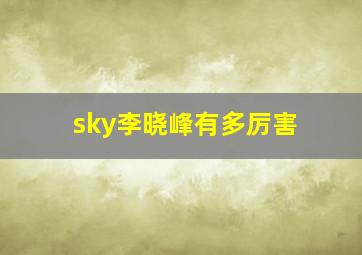 sky李晓峰有多厉害