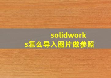 solidworks怎么导入图片做参照