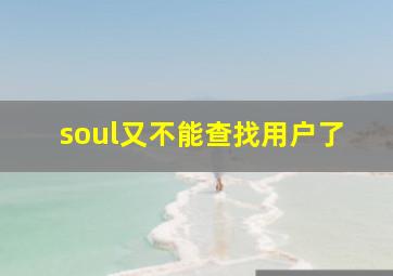 soul又不能查找用户了