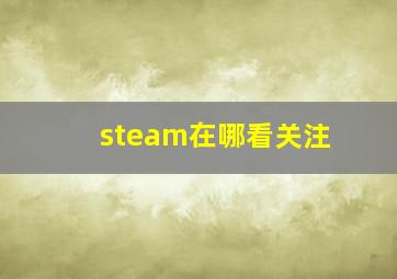 steam在哪看关注