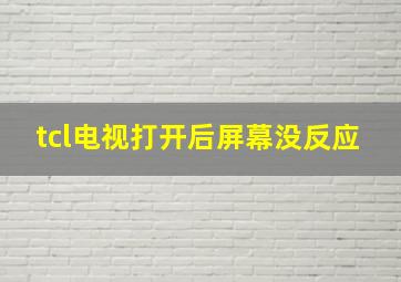 tcl电视打开后屏幕没反应