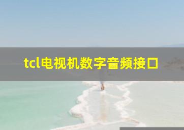 tcl电视机数字音频接口