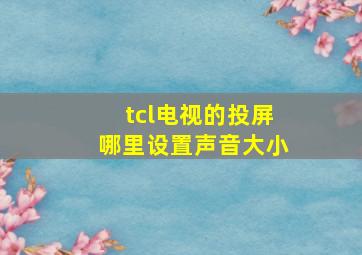 tcl电视的投屏哪里设置声音大小