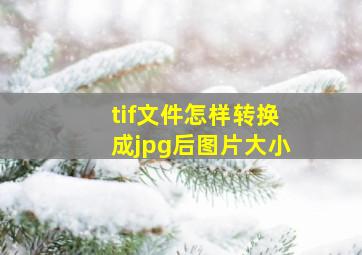 tif文件怎样转换成jpg后图片大小