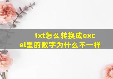 txt怎么转换成excel里的数字为什么不一样