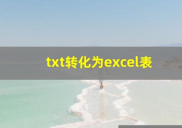 txt转化为excel表