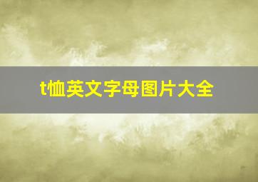 t恤英文字母图片大全