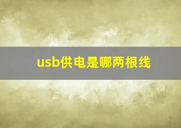 usb供电是哪两根线