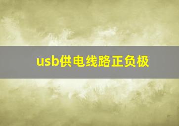 usb供电线路正负极