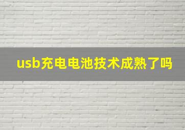 usb充电电池技术成熟了吗