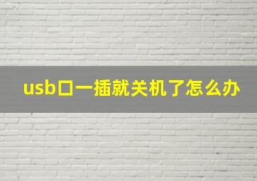 usb口一插就关机了怎么办