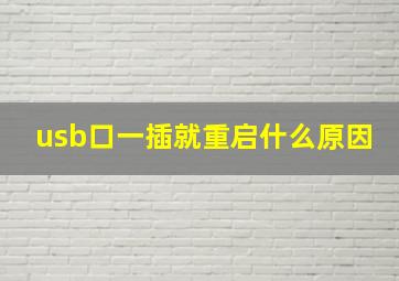 usb口一插就重启什么原因