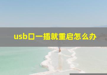 usb口一插就重启怎么办