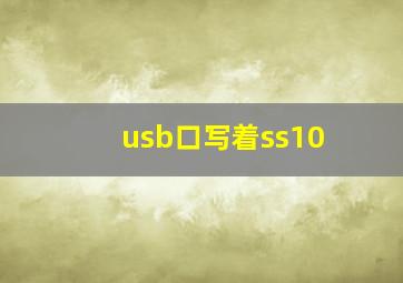 usb口写着ss10