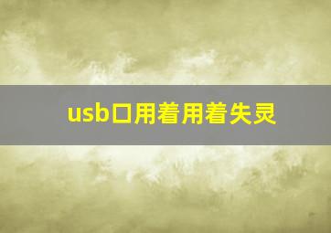 usb口用着用着失灵