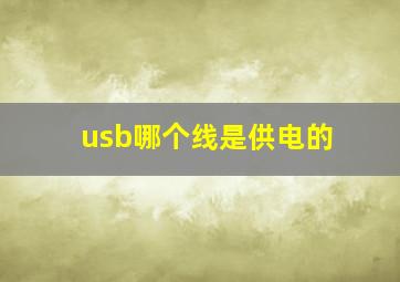 usb哪个线是供电的