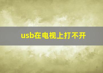 usb在电视上打不开