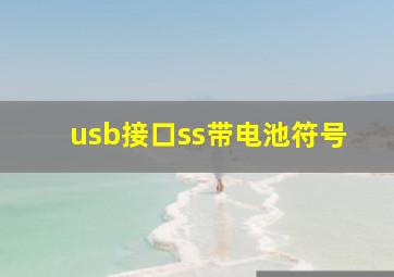 usb接口ss带电池符号