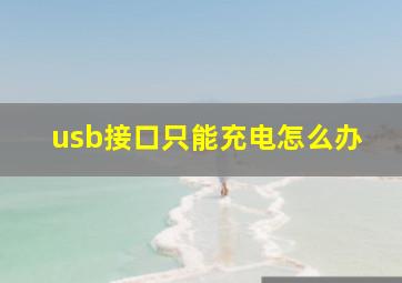 usb接口只能充电怎么办