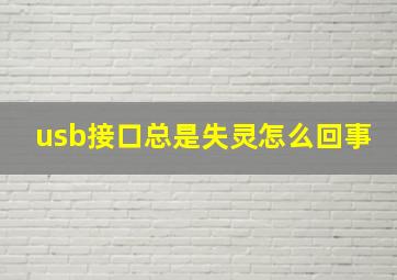 usb接口总是失灵怎么回事