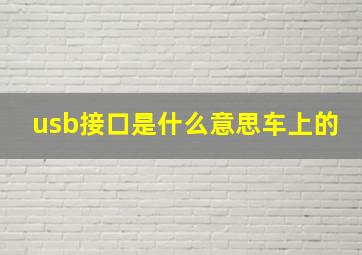 usb接口是什么意思车上的