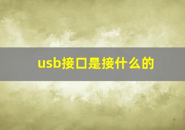 usb接口是接什么的