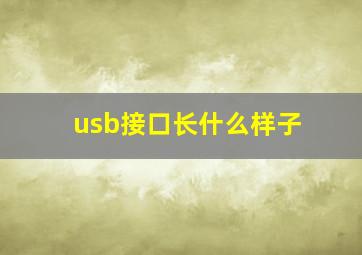 usb接口长什么样子