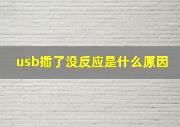 usb插了没反应是什么原因