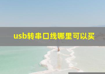 usb转串口线哪里可以买