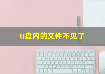 u盘内的文件不见了