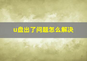 u盘出了问题怎么解决