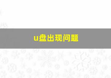 u盘出现问题