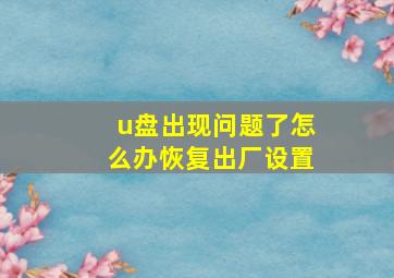 u盘出现问题了怎么办恢复出厂设置